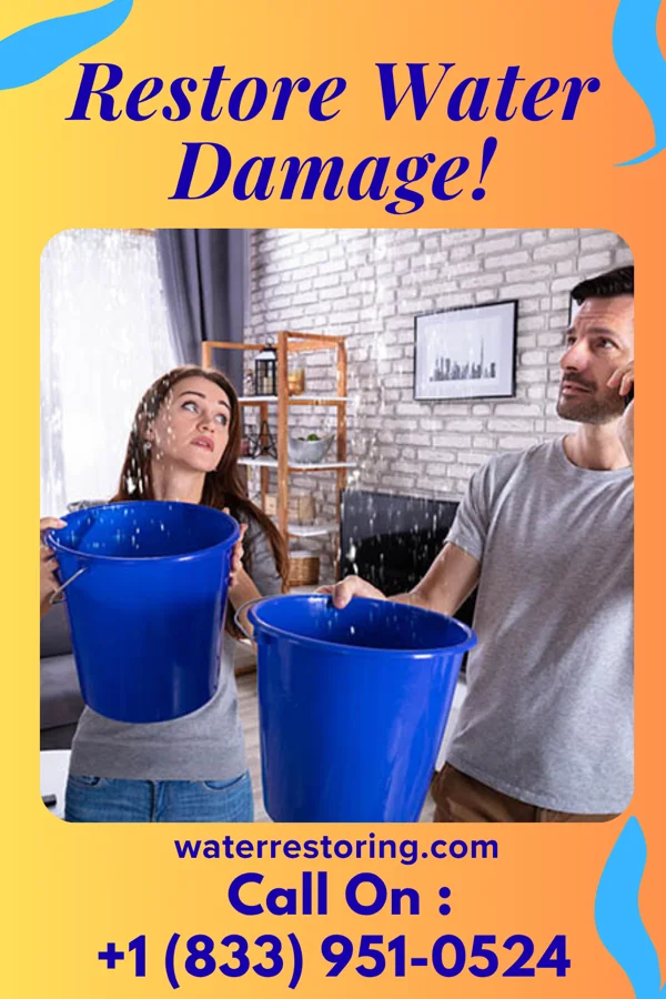 water restoration Empire Sewage Cleanup Authority Talbotton